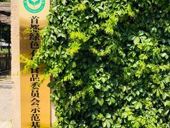 -大自然农场蔬菜草莓采摘园