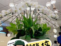 -鹿港小镇(霄云店)