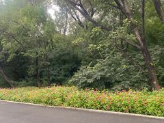 -长春市南湖公园