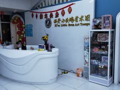 -西安小天鹅艺术团(曲江Alice店)