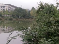 -浙江农林大学(东湖校区)