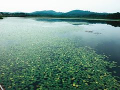 -塞罕坝国家级自然保护区