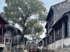 -福满楼(锦溪古镇店)