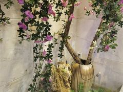 -福帆百草堂影院式足疗(人民西路店)