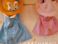 -猫猫幼稚园·撸猫·桌游·电玩