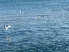 -海合安青岛极地海洋公园