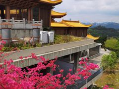 -深圳仙湖植物园