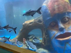 -顺德南宏海立方海洋公园