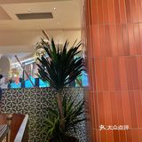 丝绸之路 清真融合餐厅