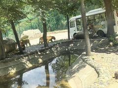 -栾川竹海野生动物园