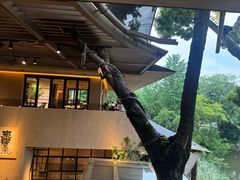 -朴墅(西湖青芝坞店·杭帮菜·家宴.14年的店)