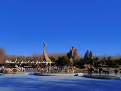 -北京野生动物园