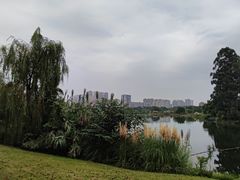 -眉山湿地公园(东坡区)