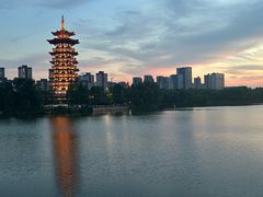 -洋湖国家湿地公园