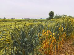 -中国天府农业博览园