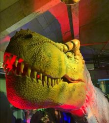 -恐龙探索乐园(磁器口店)