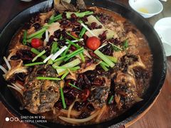 老板恋上鱼-老板恋上鱼(振华商厦店)