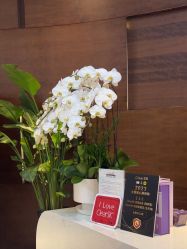 -洁铭新加坡医美