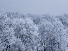 -零度滑雪室内训练中心(莘庄店)