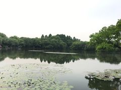 -西湖外事游船(花港观鱼码头)