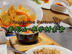 -枣子树·素食餐厅(普陀山店)