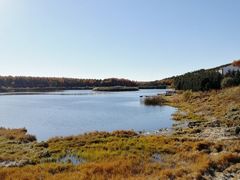 -塞罕坝国家级自然保护区