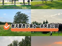 -汉长安城未央宫国家考古遗址公园