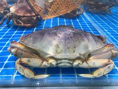 面包蟹-七鲜超市(通州ONE店)