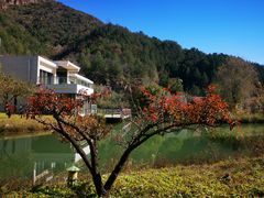 -仙居谷风景区