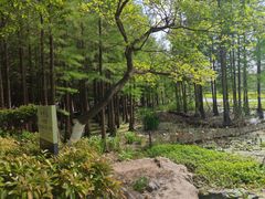 -云龙湖旅游景区