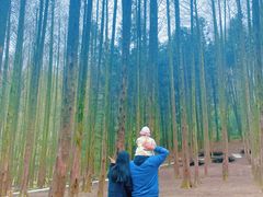 -山王坪喀斯特国家生态公园