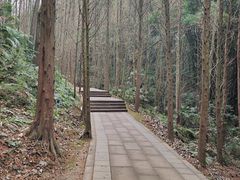 -凤栖山