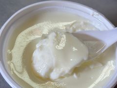 原味双皮奶-芬芳甜品(同福路店)