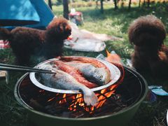 -蜀冈西峰生态公园