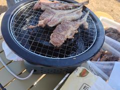 -春花秋色城市公园