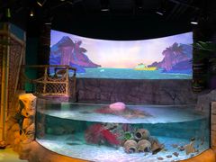 -沈阳海洋探索中心