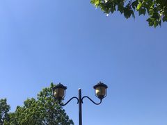 -永定河休闲森林公园