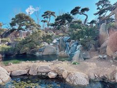 -罗红摄影艺术馆