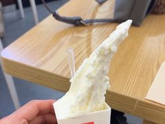 -野人先生Gelato(上海长宁龙之梦店)