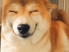-河北省眼科医院