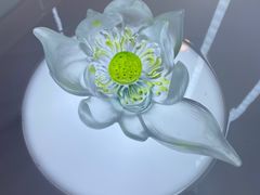 -上海琉璃艺术博物馆