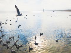 -青海湖国家重点风景名胜区