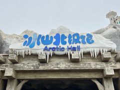 -上海海昌海洋公园-冰山北极馆