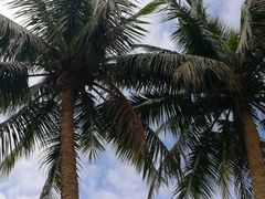 -海口市博物馆