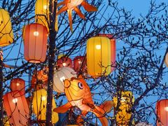 -龙湖星悦荟(颐和店)