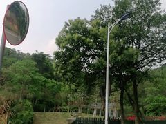 -火炉山森林公园