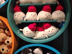 -沈阳海洋探索中心