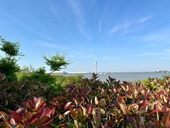 -上海吴淞炮台湾国家湿地公园