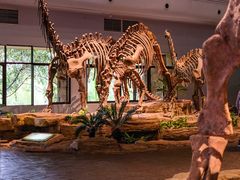 -自贡恐龙博物馆