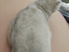 -嘉馨宠物医院·CT影像转诊·心脏科·犬猫全科诊疗中心(下沙大学城院区)